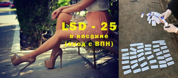 хмурый Алзамай
