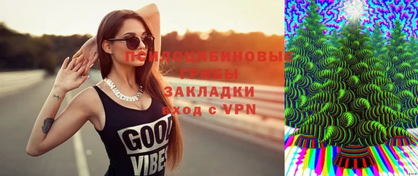 хмурый Алзамай