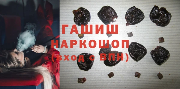 хмурый Алзамай